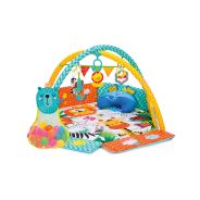 Activity Gym & Play Mat