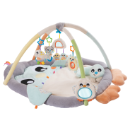 Snuggle Me Penguin Tummy Time Gym